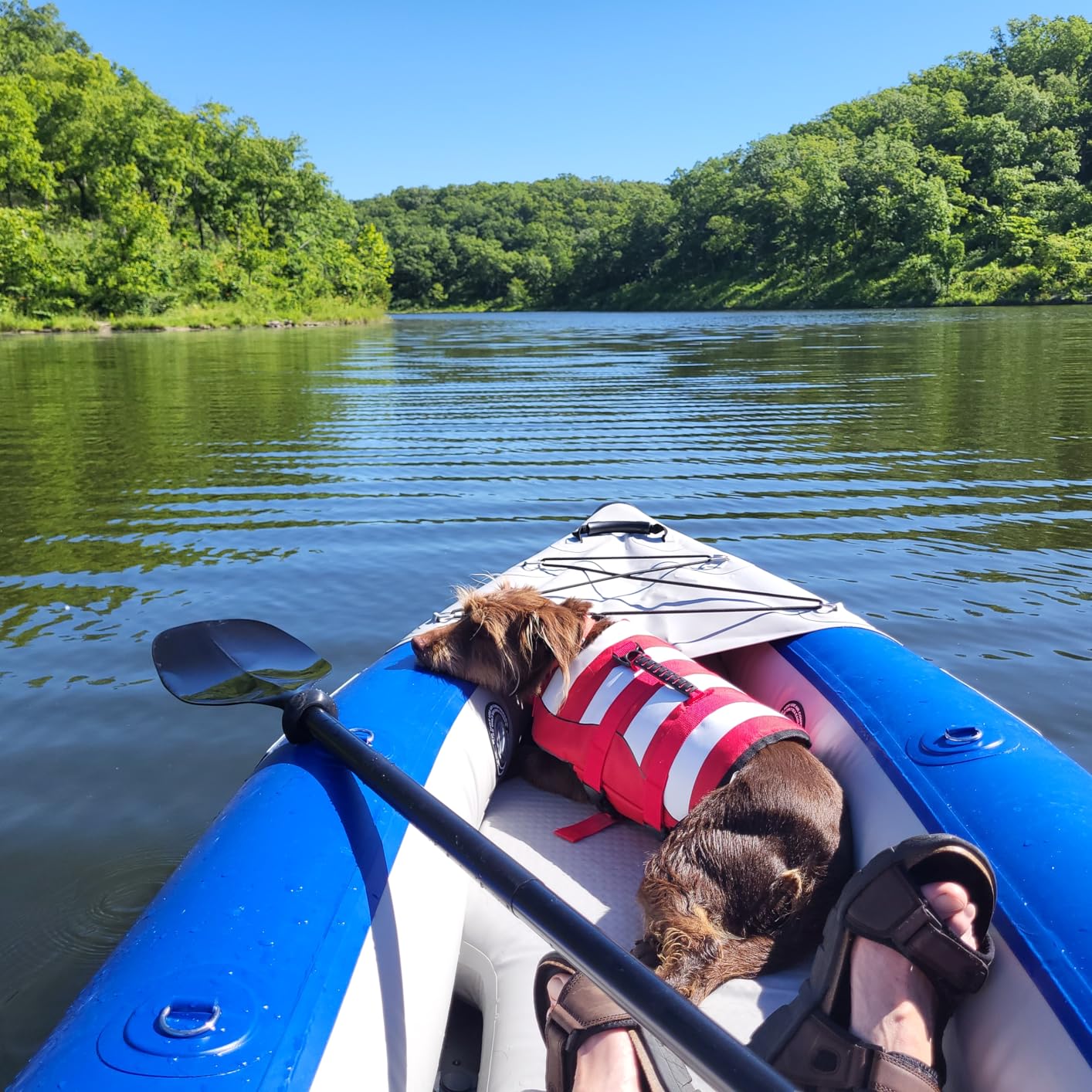 Sea Eagle 420X Explorer Inflatable Kayak - Fishing, Touring, Camping, Exploring & White Watering - Self Bailing, Removable Skeg, Drop Stitch Floor customer photo 1