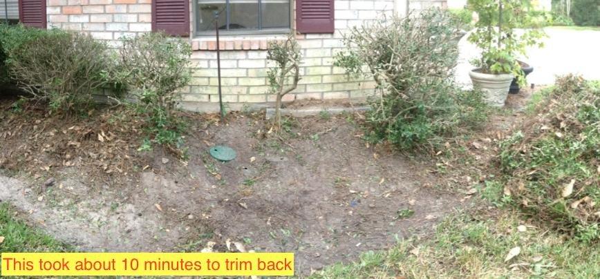 BLACK+DECKER 20V MAX Pole Hedge Trimmer Cordless with Battery and Charger, 18-Inch Dual Action Blade, Extended Long Reach Hedger Up to 11 Ft, 180 Degrees Pivoting Head (LPHT120) customer photo 2