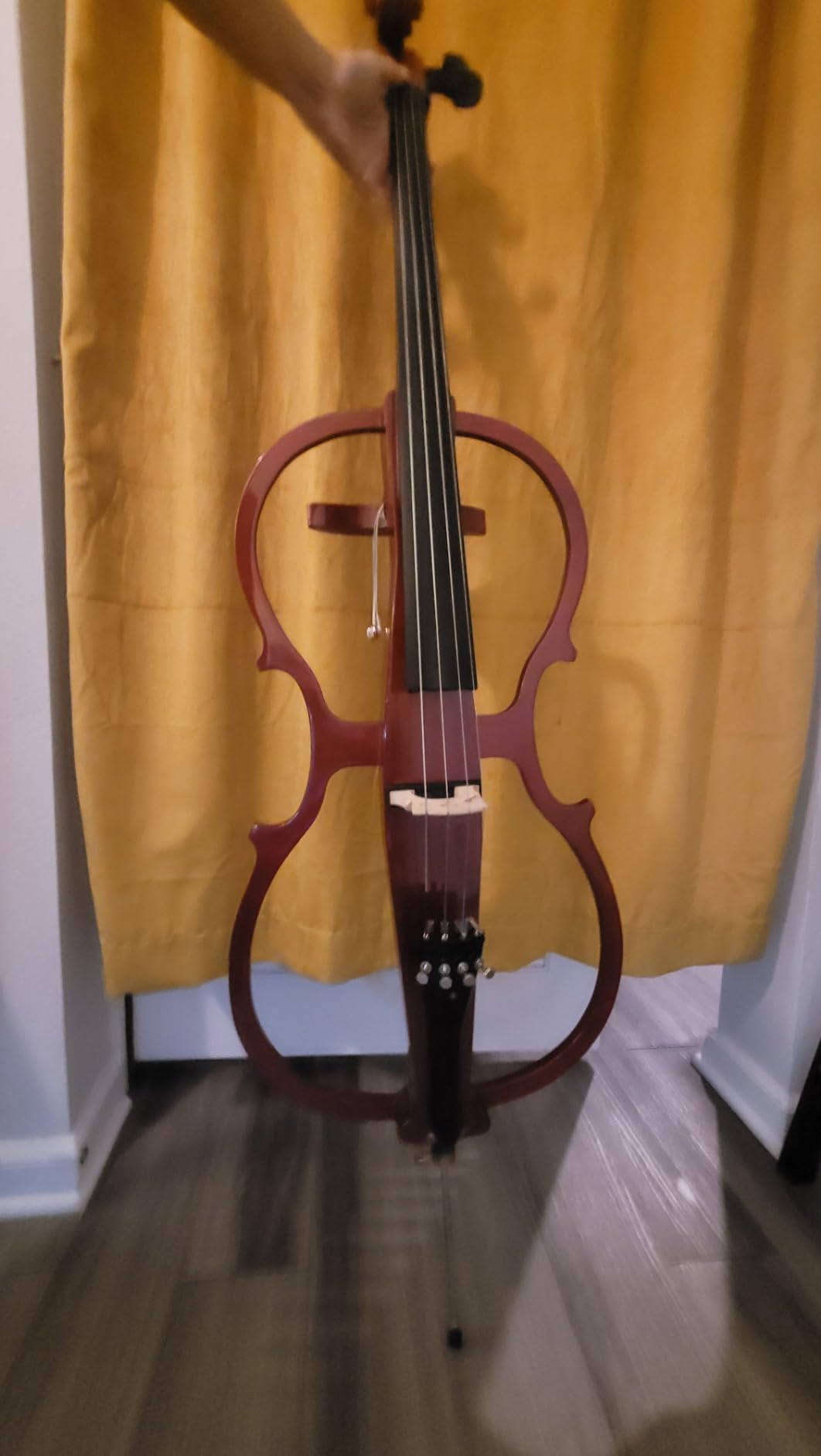 Cecilio CECO-1DW Ebony Electric Silent Metallic Mahagony Cello in Style 1, Size 4/4 (Full Size) customer photo 2