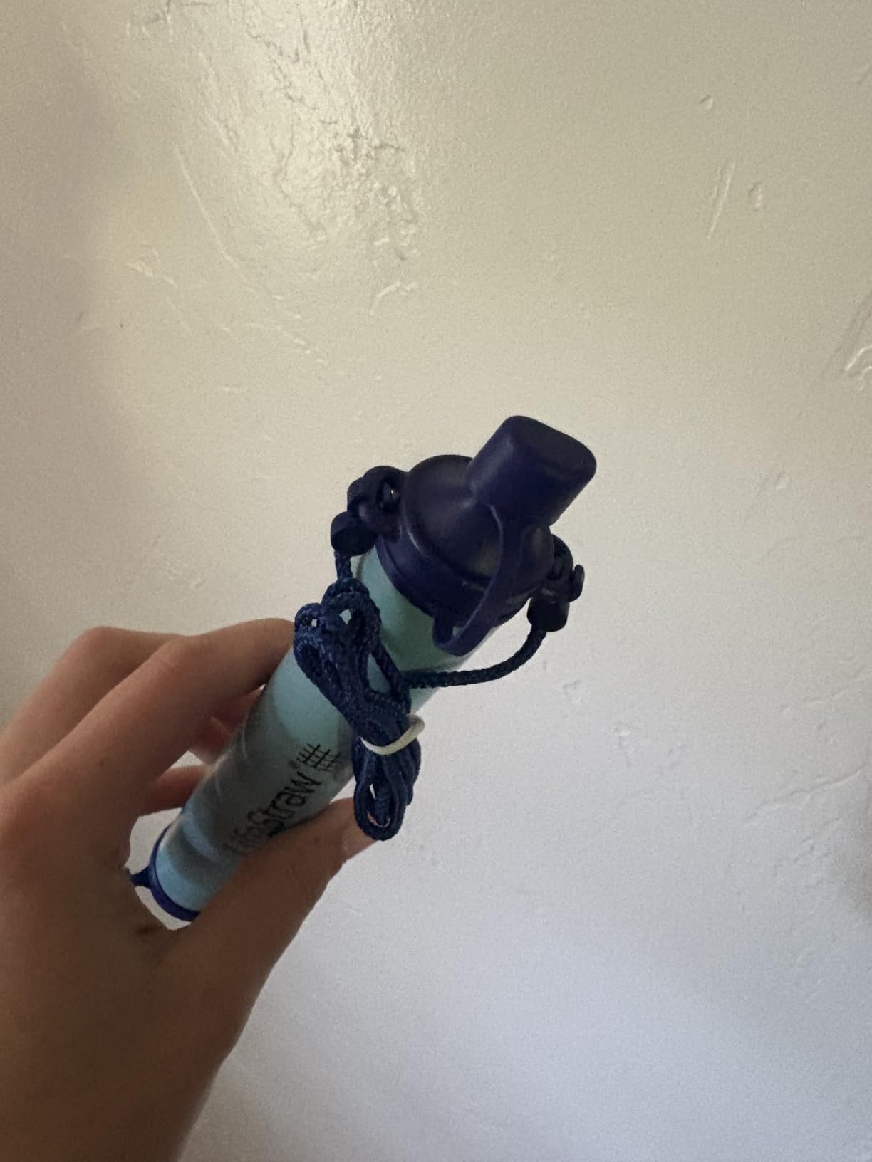 LifeStraw Personal Water Filter for Hiking, Camping, Travel, and Emergency Preparedness customer photo 2