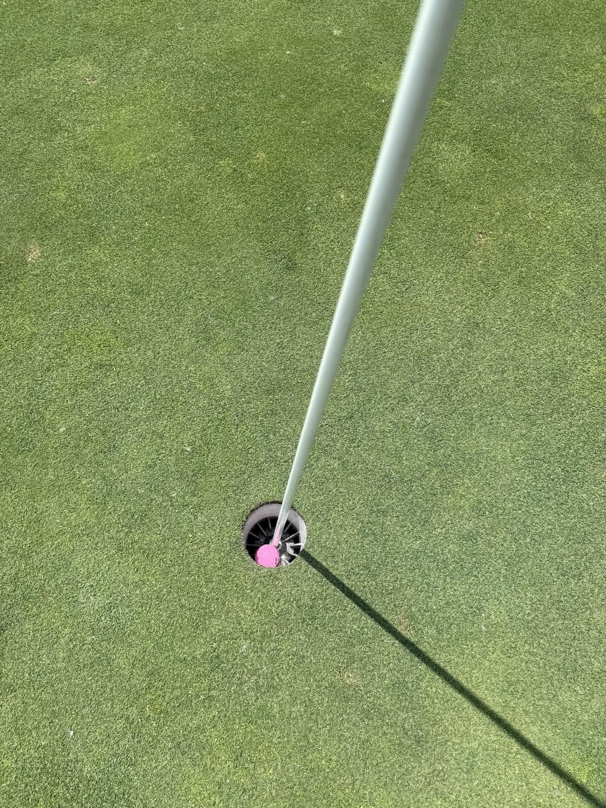 Nitro Maximum Distance Golf Ball (12-Pack) customer photo 2