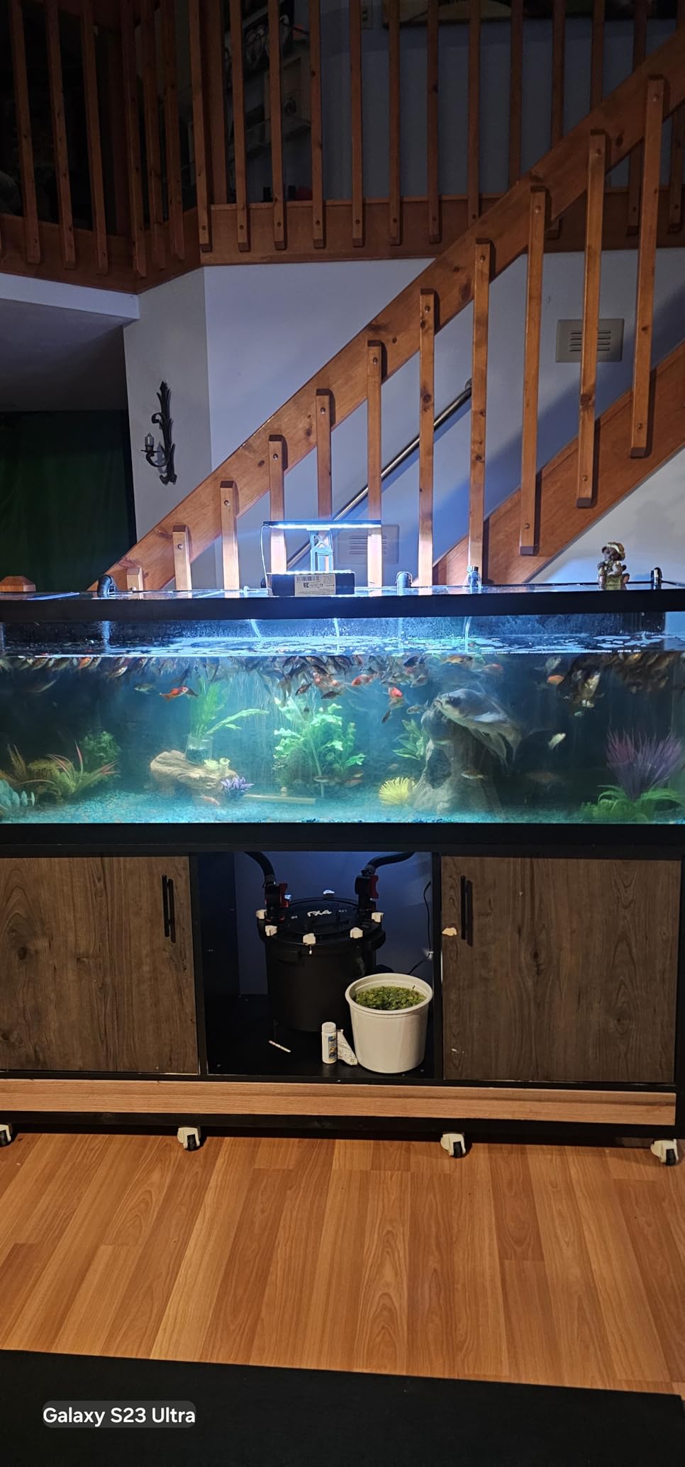 Fluval FX4 High Performance Canister Aquarium Filter - Multi-Stage Filtration for Aquariums Up to 250 Gallons customer photo 1