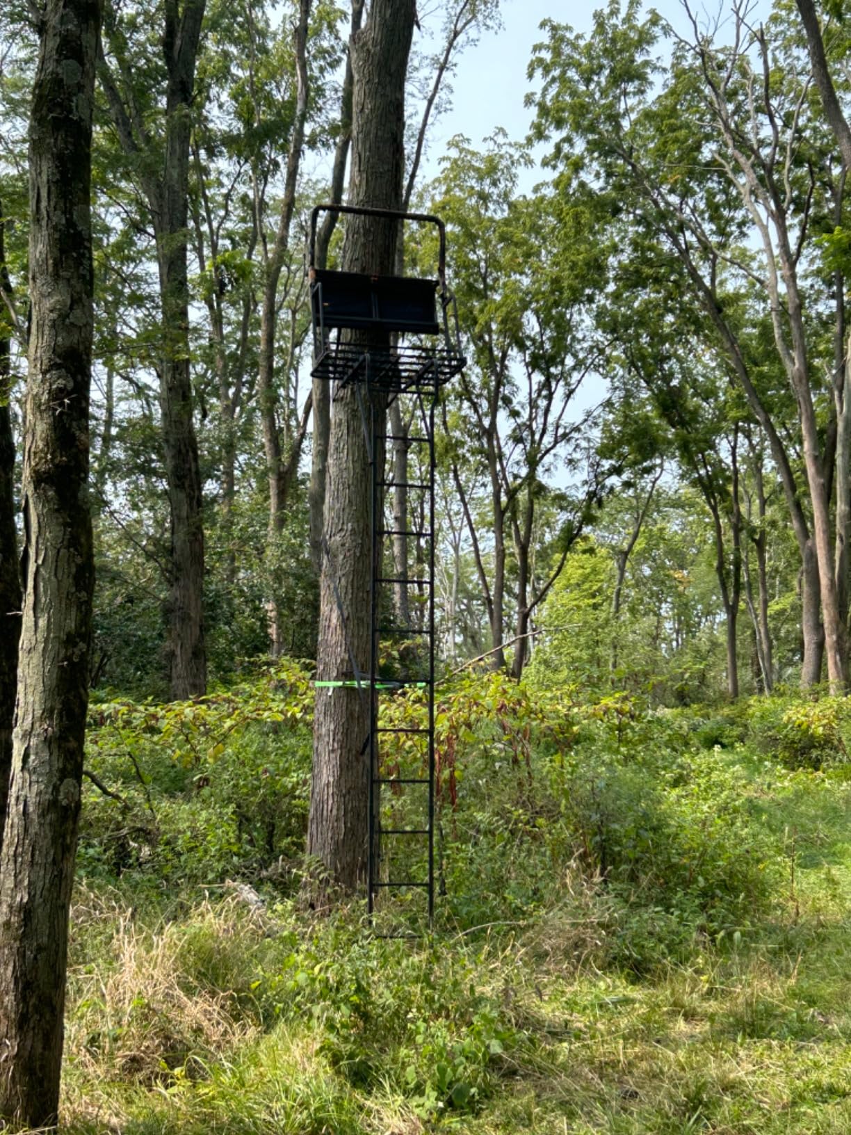 Muddy 2-Person Ladder Tree Stand for Deer Hunting, 17' Tall, Black | The Partner customer photo 1