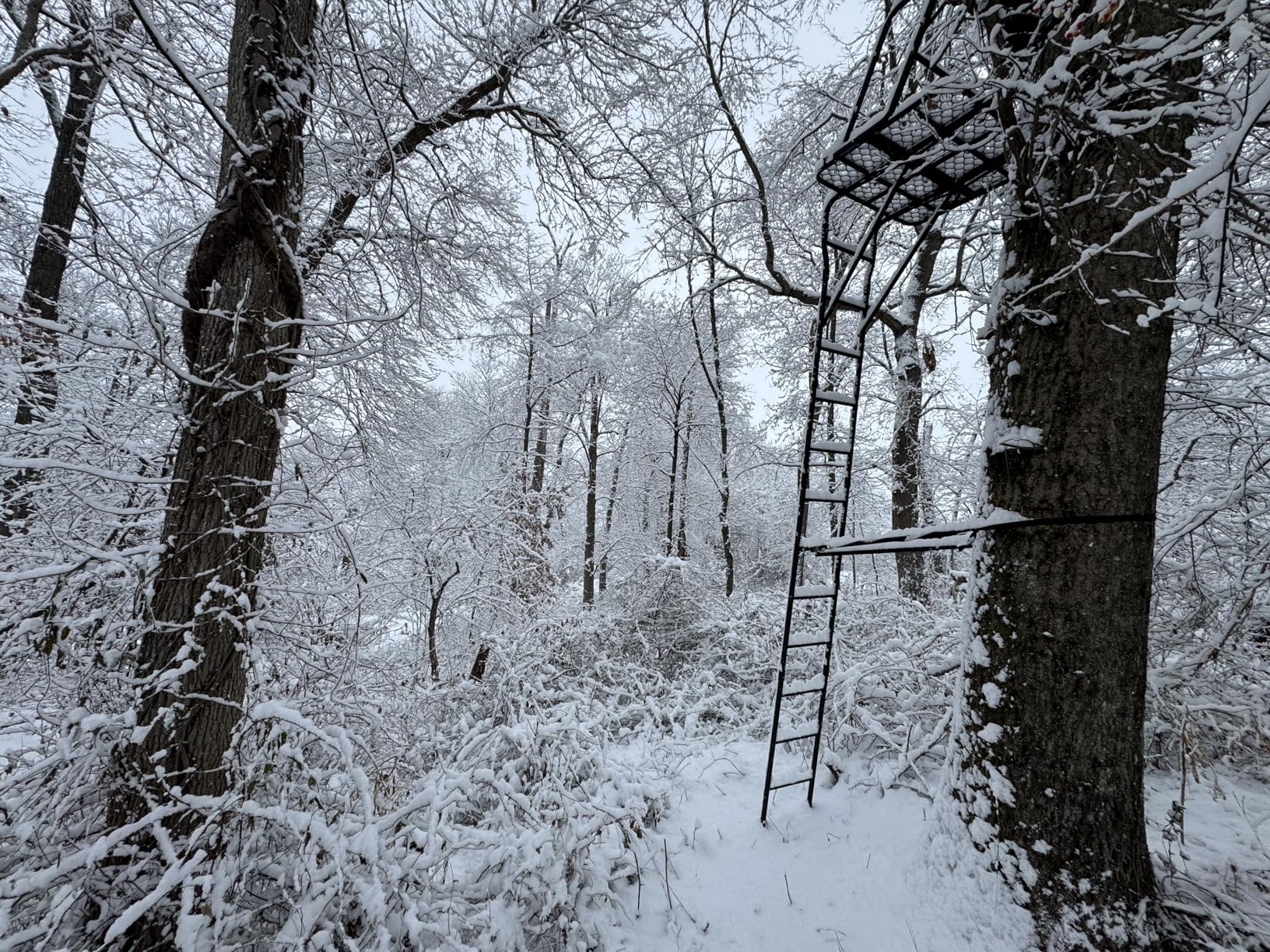 Muddy 2-Person Ladder Tree Stand for Deer Hunting, 17' Tall, Black | The Partner customer photo 2