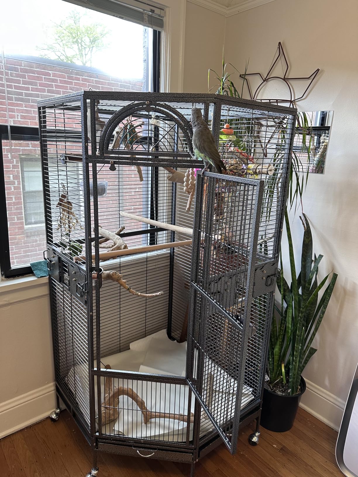 Parrot Escape Jumbo Corner Bird Cage Aviary (Small) customer photo 1