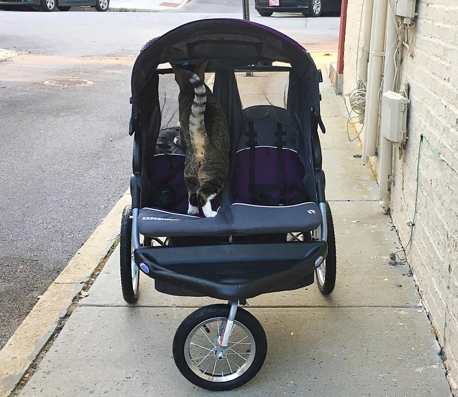 Baby Trend Navigator Lite Double Jogger, Europa customer photo 1
