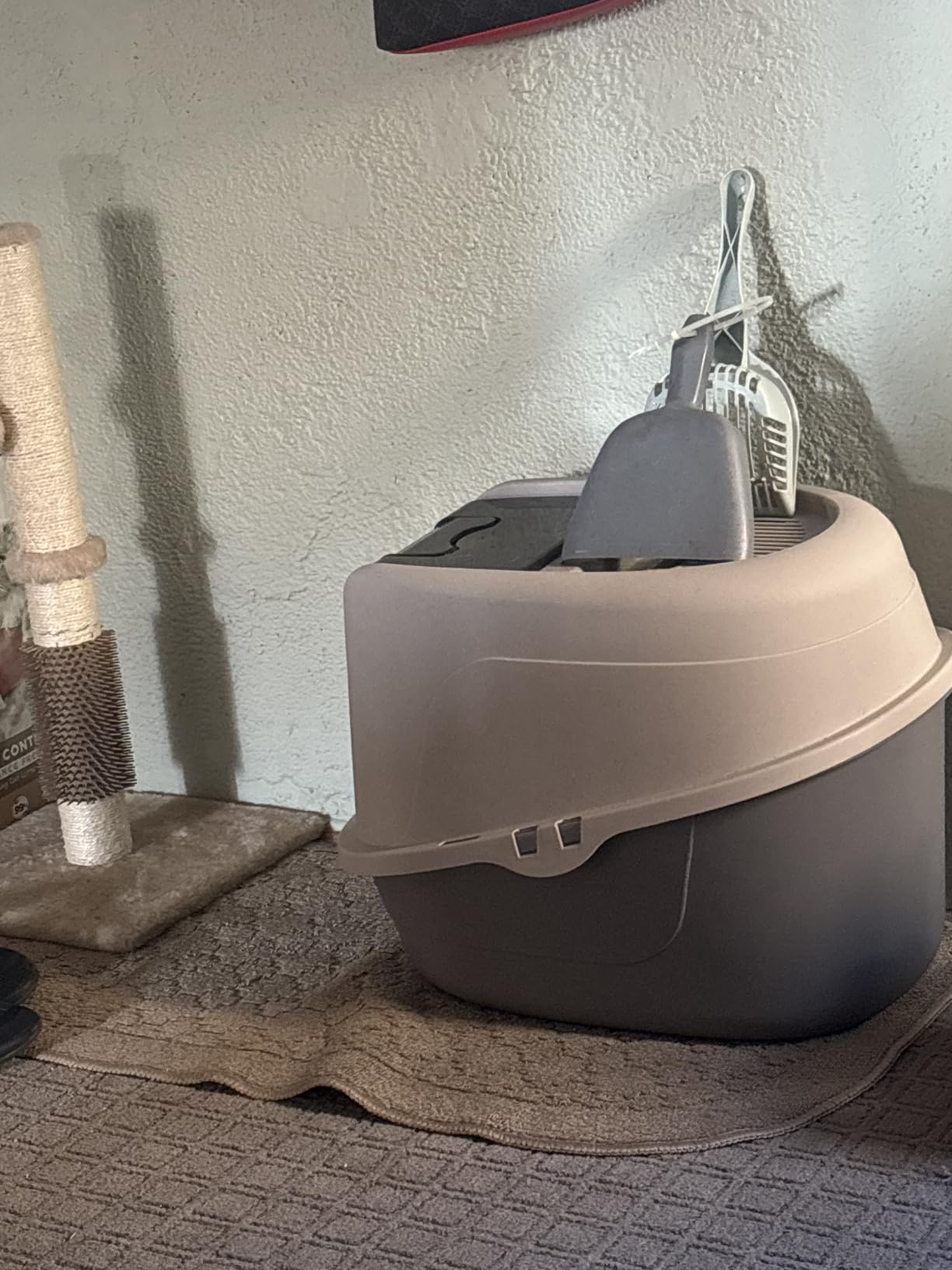 Amazon Basics No-Mess Hooded Enclosed Cat Litter Box with Odor Control and Swinging Door, Large, 24