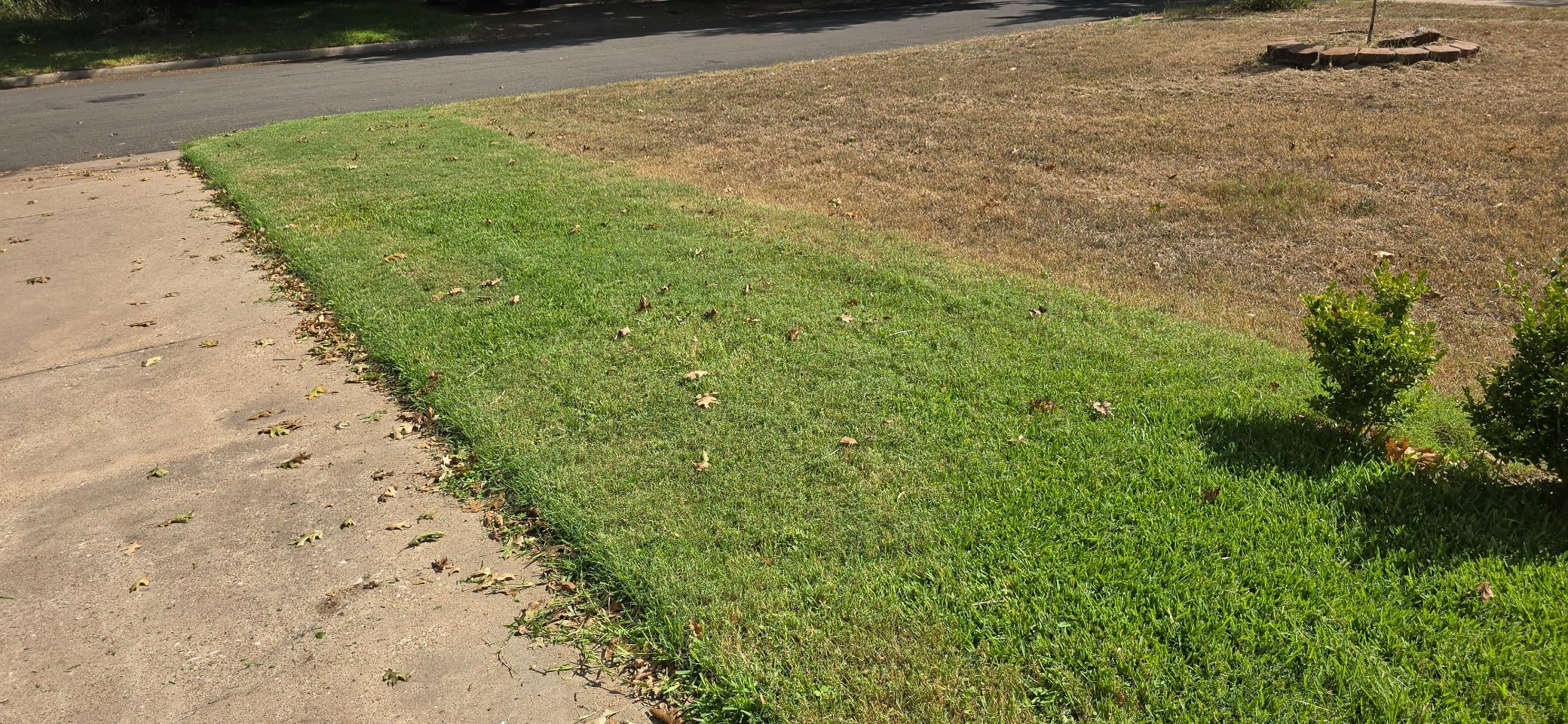 BLACK+DECKER BEMW482BH Electric Lawn Mower customer photo 1