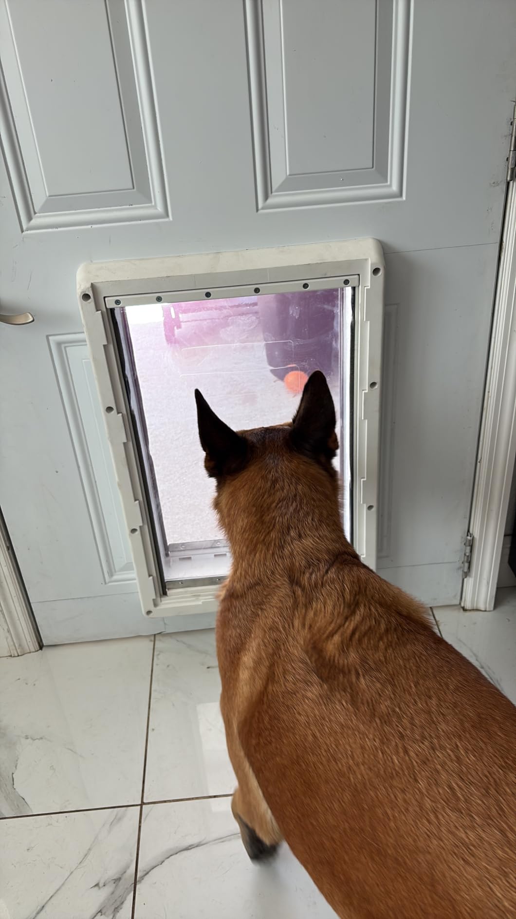 Ideal Pet Products Designer Series Ruff-Weather Pet Door with Telescoping Frame, Super Large, 15