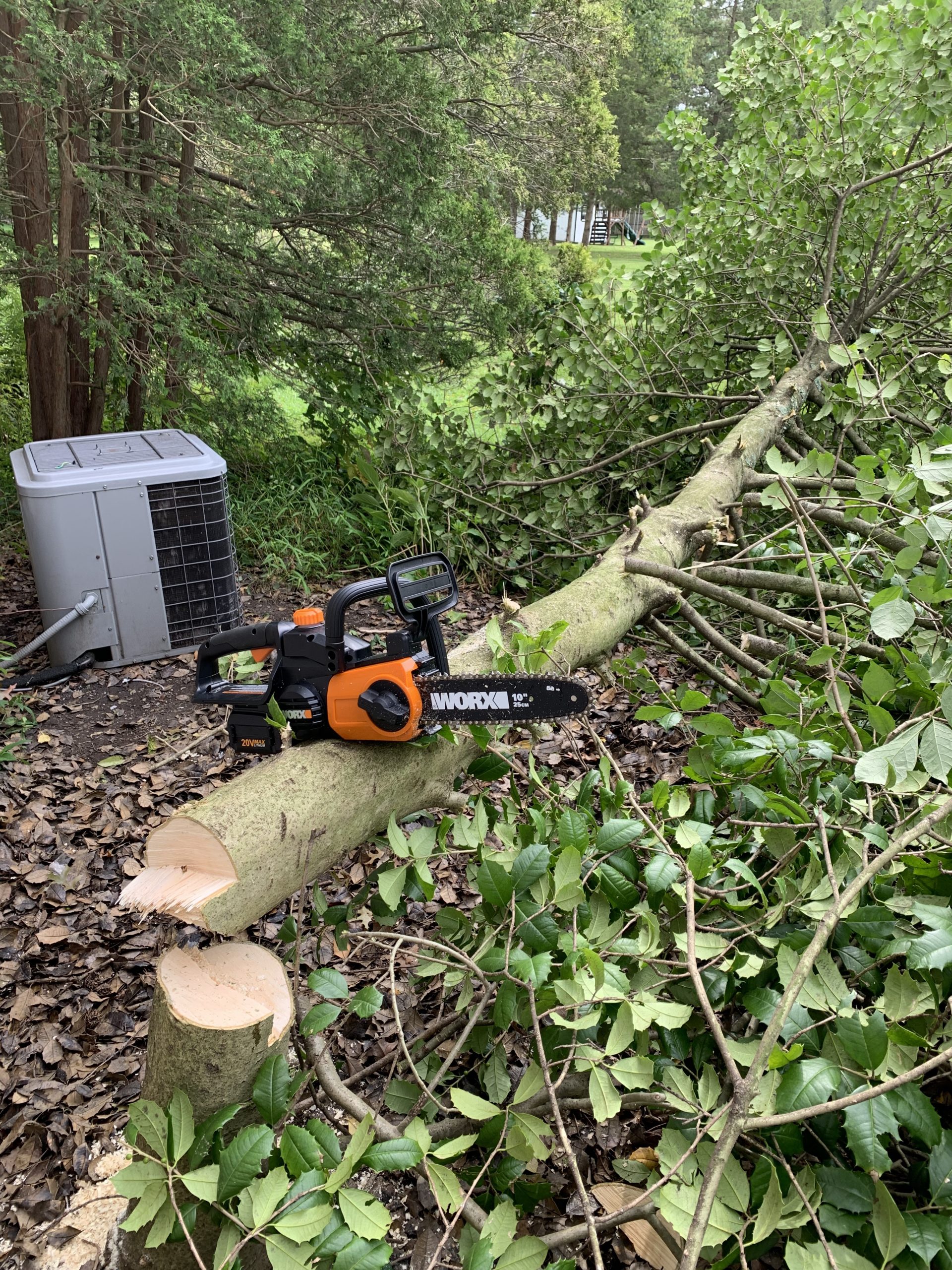 WORX Cordless Chainsaw with Auto-Tension, 20V 10-Inch, Tool Only, WG322.9 customer photo 1