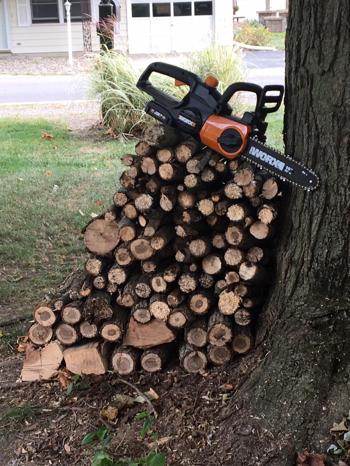 WORX Cordless Chainsaw with Auto-Tension, 20V 10-Inch, Tool Only, WG322.9 customer photo 2