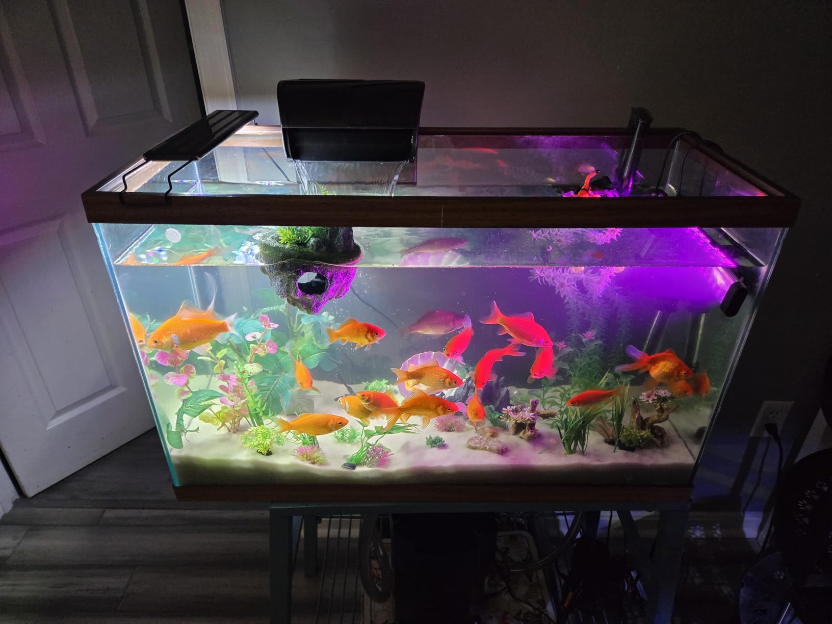 Aqueon QuietFlow Canister Aquarium Filter for 100-150 Gallons customer photo 1