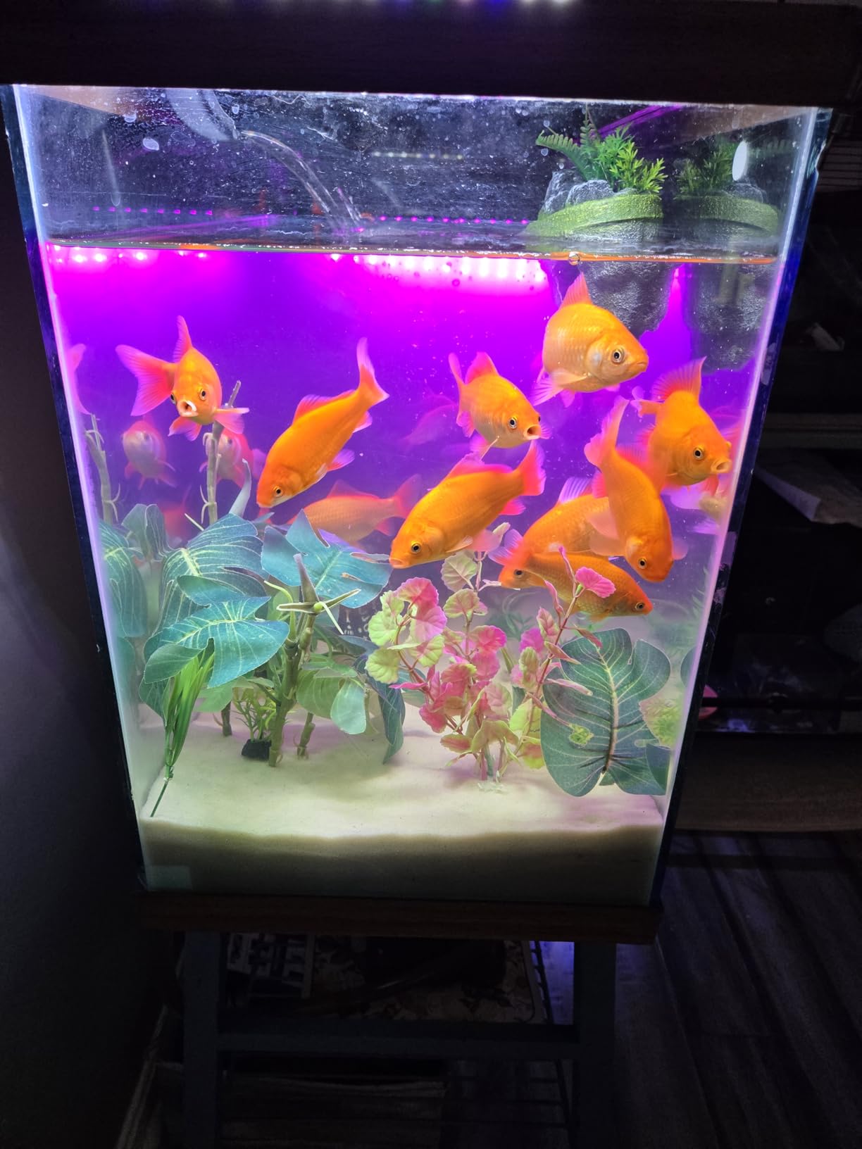 Aqueon QuietFlow Canister Aquarium Filter for 100-150 Gallons customer photo 2