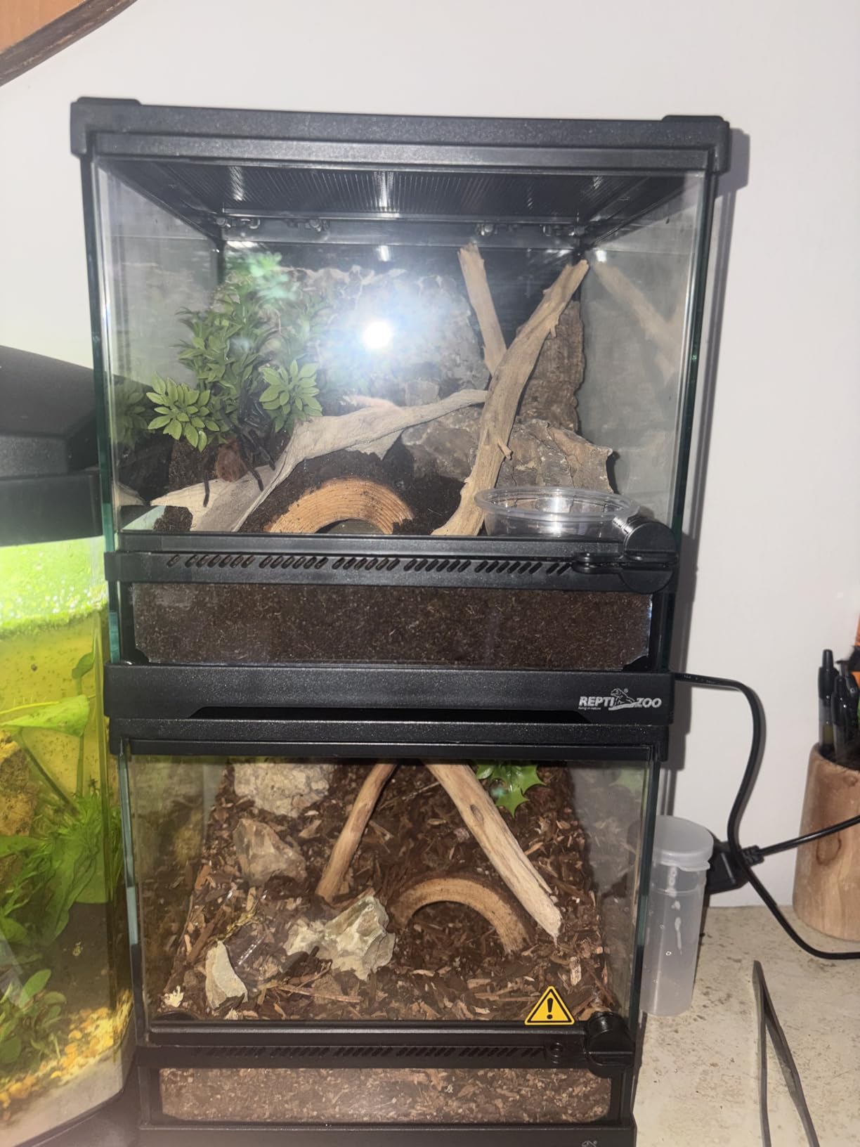 REPTI ZOO Mini Reptile Glass Terrarium, Front Opening Door Full View Mini Reptile or Amphibians Glass Habitat customer photo 1