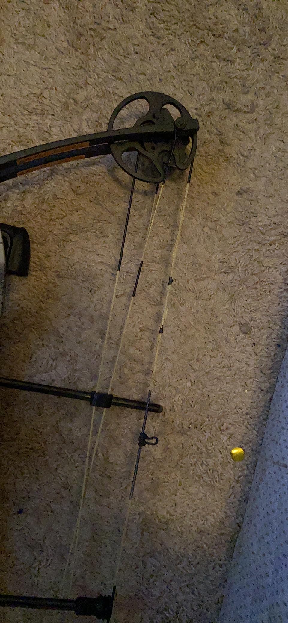 Bear Archery Limitless Dual Cam Compound Bow - Includes Quiver, Sight and Rest, God's Country customer photo 1