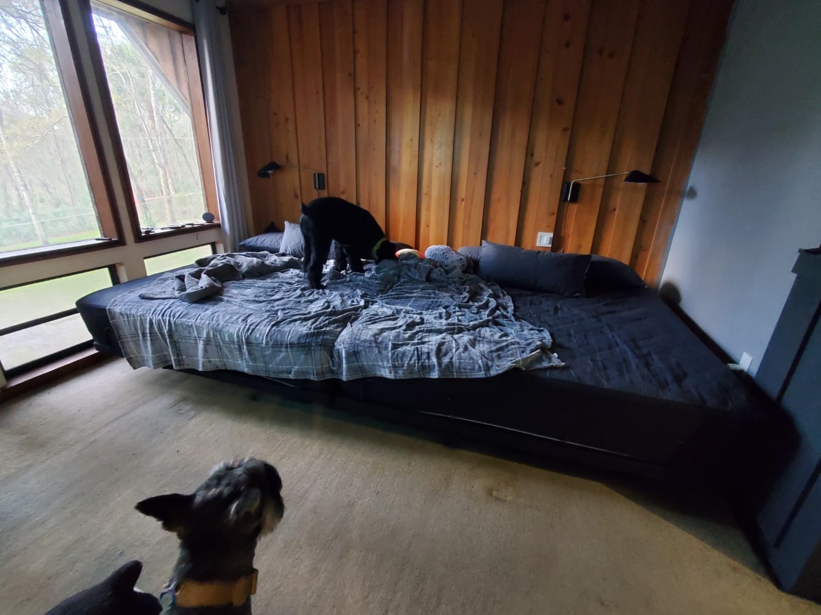 Sven & Son Harmony Adjustable Bed Base, Head and Foot Lift, Massage, Under-Bed Lights, USB, Memory, Zero Gravity Smart Frame - Queen customer photo 2