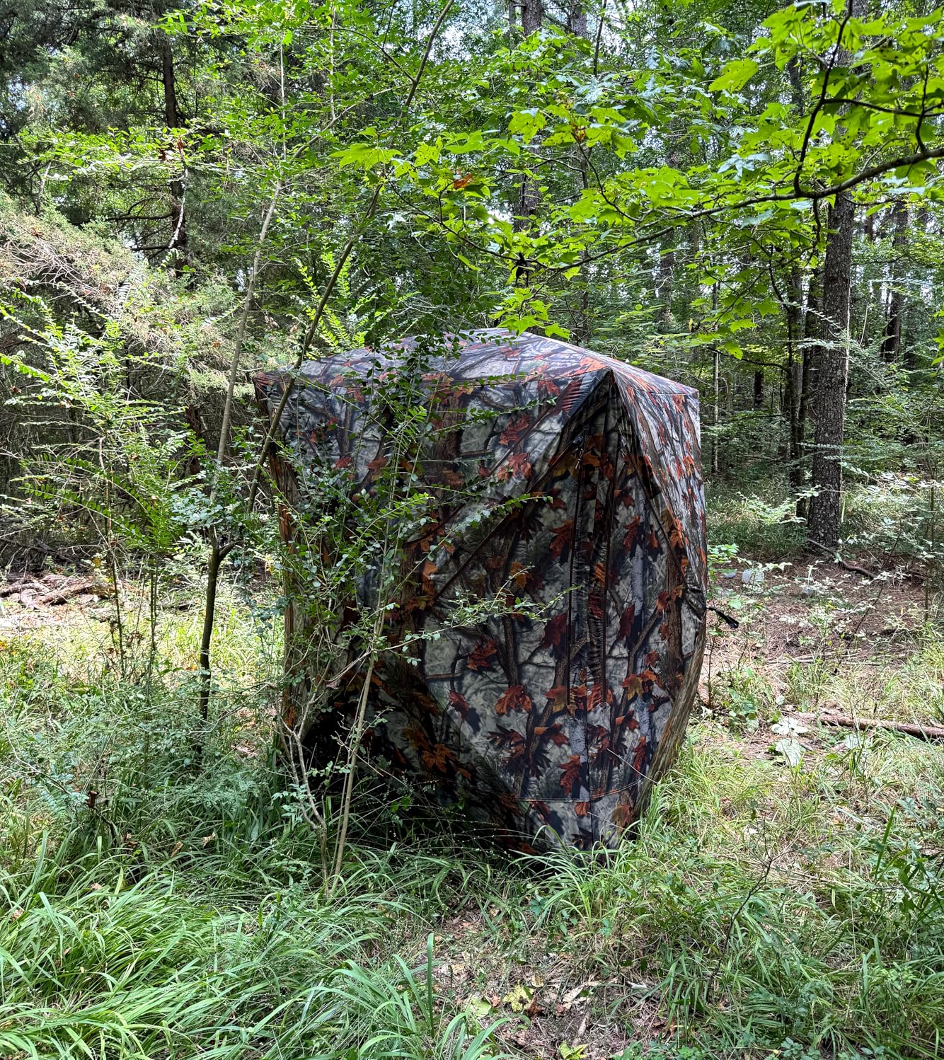 Barronett Blinds Prowler 300 Portable Hunting Blind Tall Hub Blind Shoot While Standing Lightweight 2-Person Bloodtrail Woodland 80 x 75 x 75 PR300BT customer photo 1