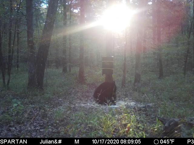 Barronett Blinds Prowler 300 Portable Hunting Blind Tall Hub Blind Shoot While Standing Lightweight 2-Person Bloodtrail Woodland 80 x 75 x 75 PR300BT customer photo 2