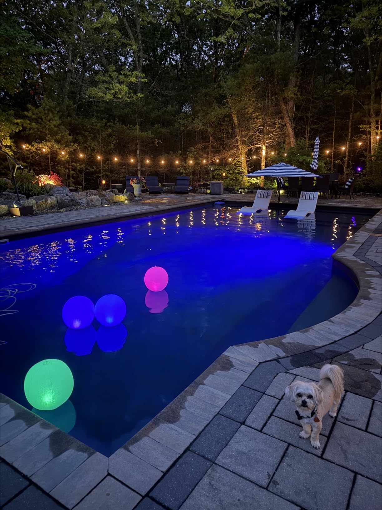 51FT Outdoor Shatterproof LED String Lights, Waterproof 17 Hanging Sockets with 18 x Dimmable LED Bulb Garden Light String, Waterproof Vintage Patio Lights for Wedding Party customer photo 1