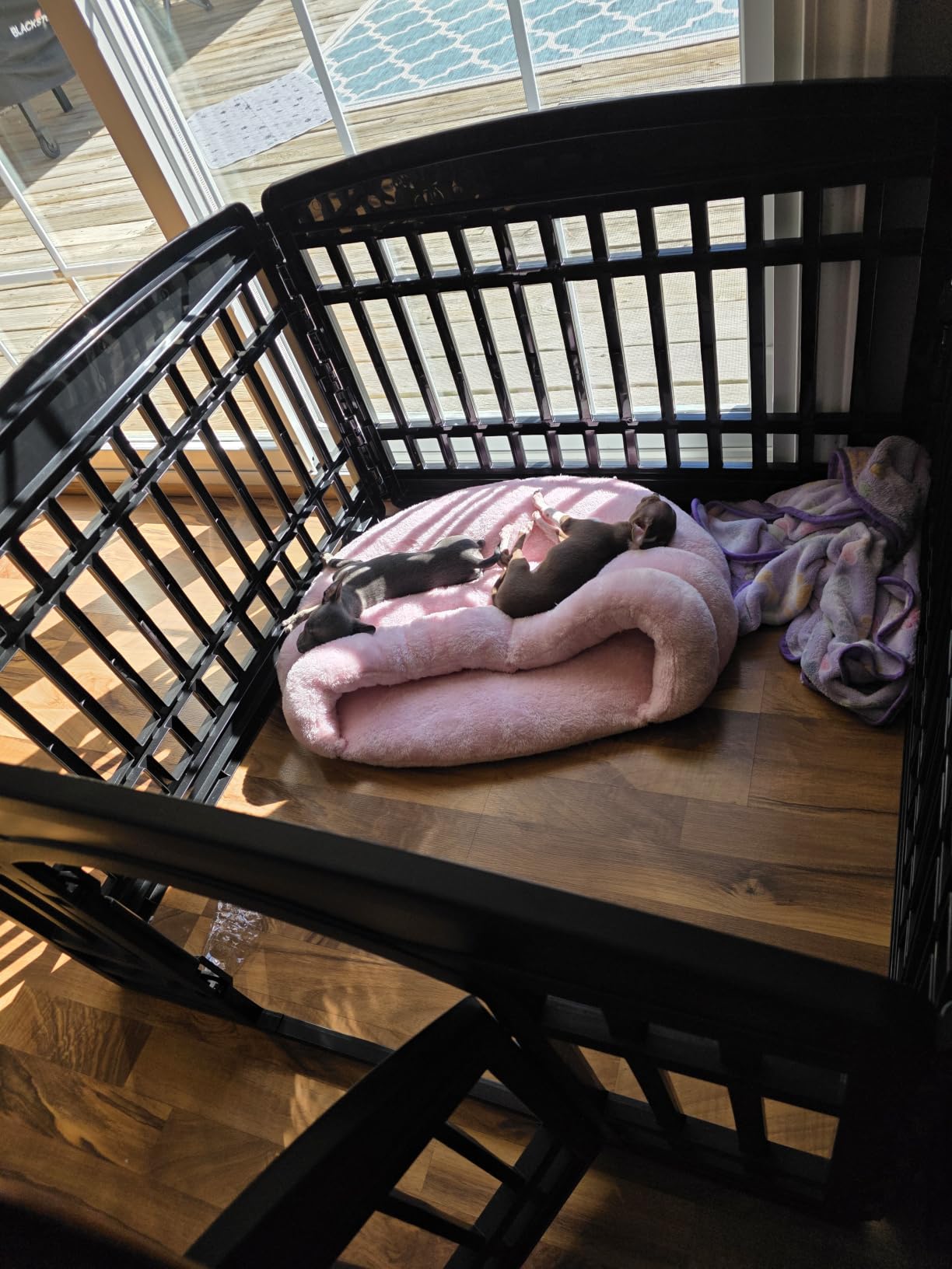 IRIS USA 8-Panel Dog Playpen, Pet Enclosure, White | Pet Containment, Custom Pen Configuration, Multi-Shape Setup, Flexible Boundary, Stable Non-Tip Base, Tool-Free Assembly customer photo 1