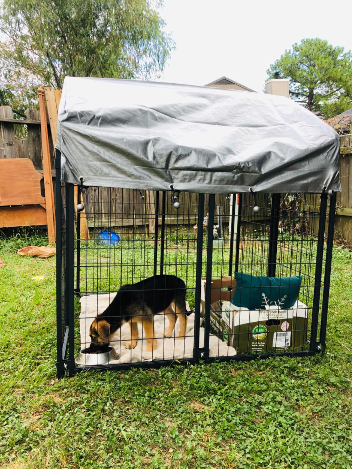 Large Dog Kennel Dog Crate Cage, Extra Large Welded Wire Pet Playpen with UV Protection Waterproof Cover and Roof Outdoor Heavy Duty Galvanized Metal Animal Pet Enclosure for Outside, 4 x 4 x 4.3 Feet customer photo 2