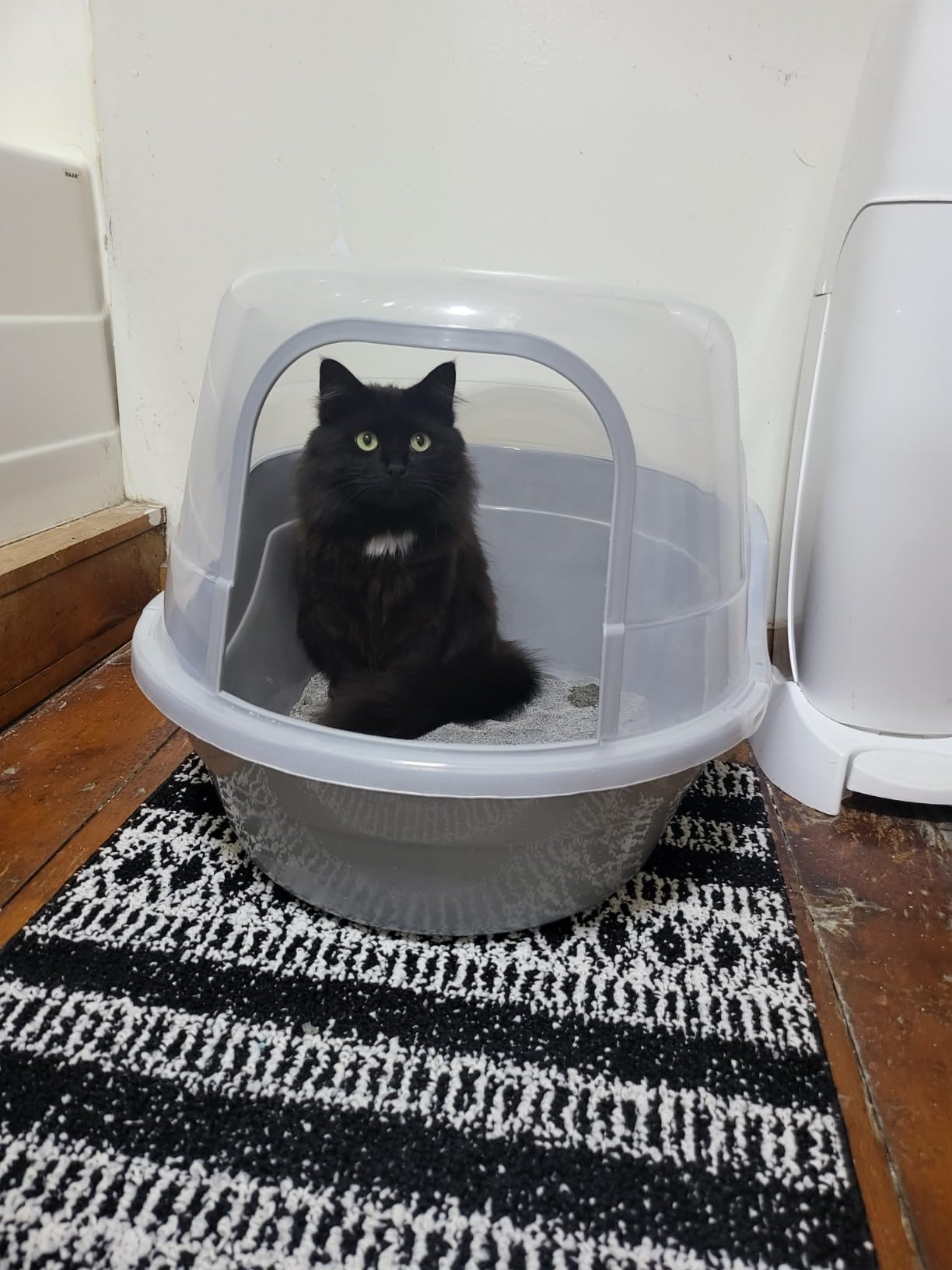 Petphabet Jumbo Hooded Cat Litter Box, Extra Large Gray - Multi-Cat Friendly Enclosed Pan customer photo 2