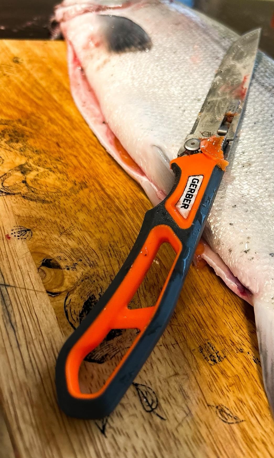 Gerber Gear Randy Newberg EBS - Durable, Lightweight Hunting Knife with Exchangeable Blades - Premium Outdoor Knife for Field Dressing - Hunting & Camping Gear customer photo 1