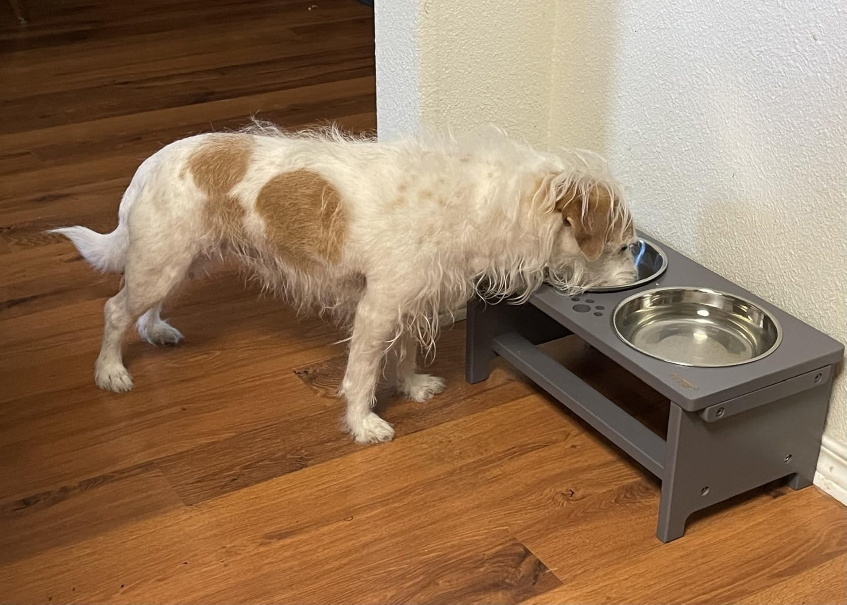 HTB Elevated Dog Bowls, Raised Dog Bowl Stand with 2 Stainless Steel Bowls, 10
