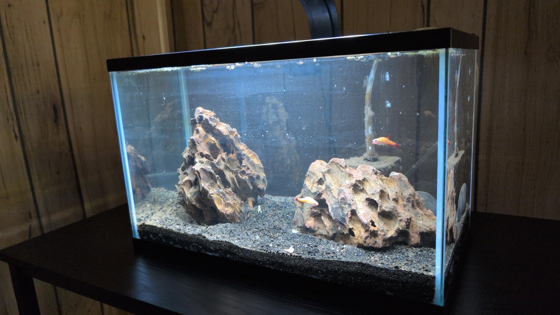 Tetra Glass Aquarium 5.5 Gallons, Rectangular Fish Tank customer photo 1