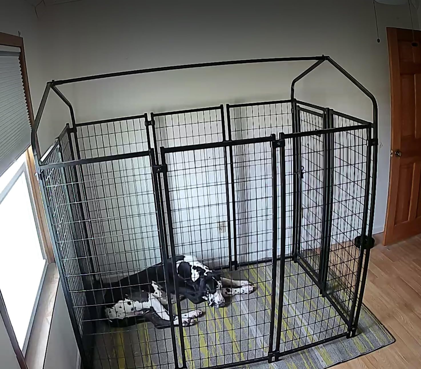 PawHut Outdoor Dog Kennel with Roof, 6' x 4' x 6' Heavy Duty Welded Wire Dog Playpen Enclosure with Escape-Proof Lock, UV-Resistant & Waterproof Cover, for Large Dogs customer photo 2