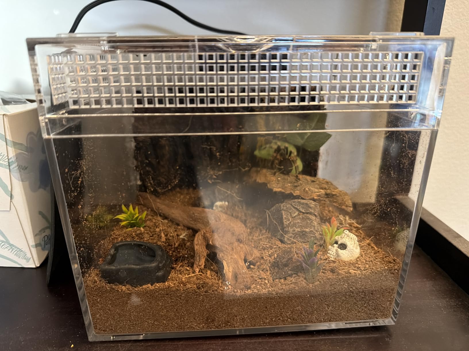 Reptile Growth Mini Reptile Terrarium, 12