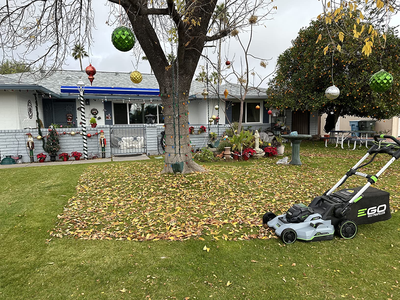 EGO Power+ Electric Lawn Mower, Self-Propelled Cordless with Select Cut, Includes 56V 10.0Ah Batteries and 700W Turbo Charger - LM2156SP customer photo 2