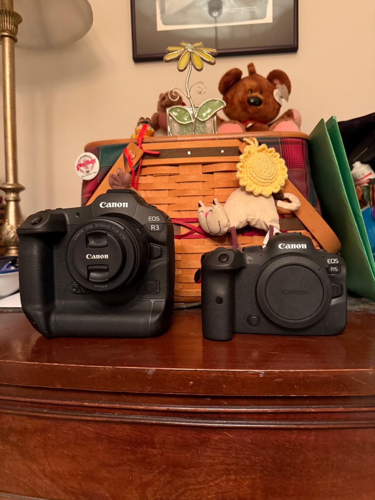 Canon EOS R3 Mirrorless Camera (Body Only), Full-Frame Camera, 6K 60p RAW, 4K 120p Video, 24.1 Megapixel CMOS Sensor, DIGIC X Image Processor customer photo 2