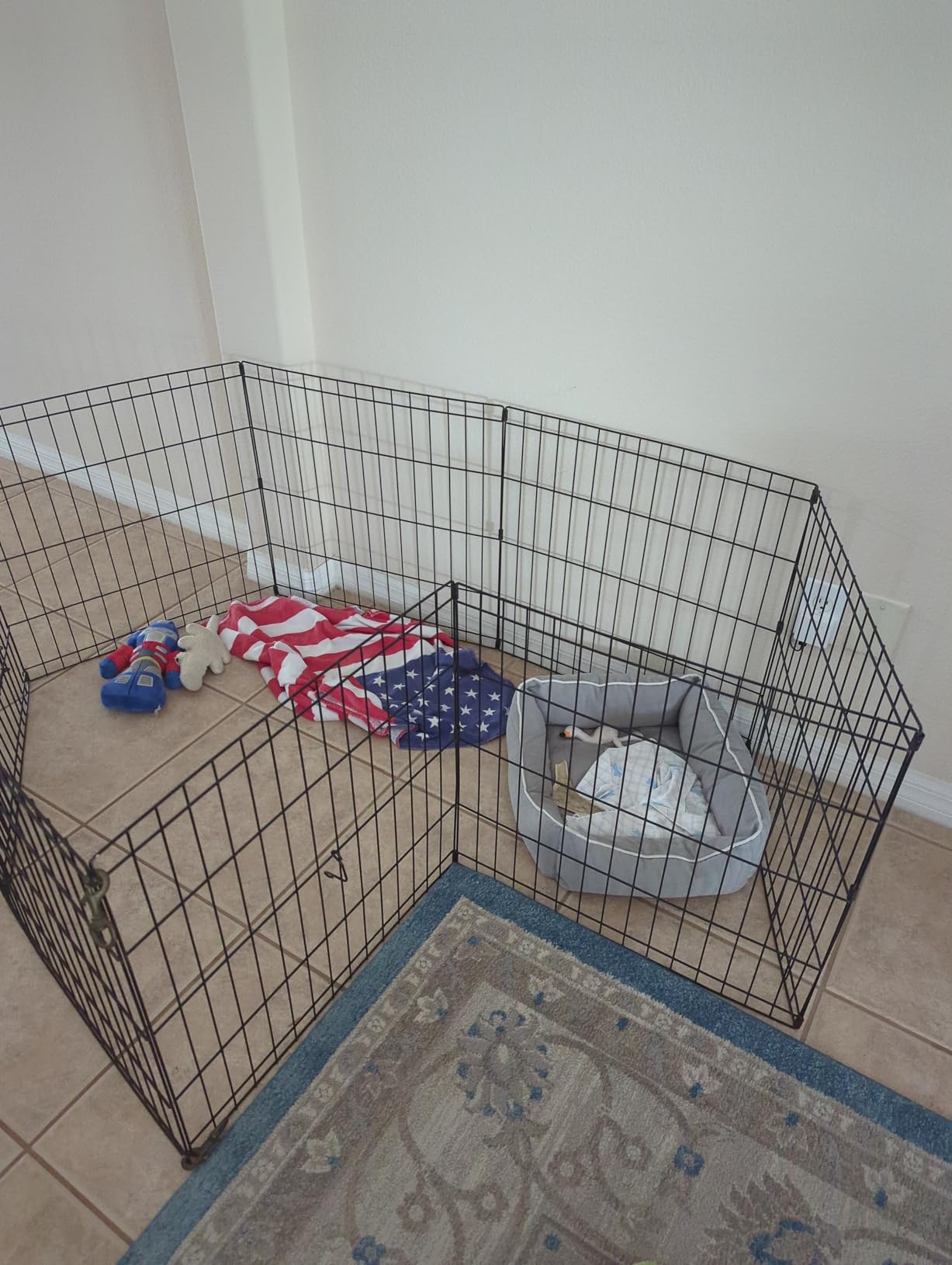 New World by MidWest Homes for Pets 18-Inch Exercise Pen, for Indoor and Outdoor use, 16 Sq Feet of Play, Folding Dog Pen, No Door Design for Maximum Security, Easy to Set Up, Foldable Pet Playpen customer photo 1