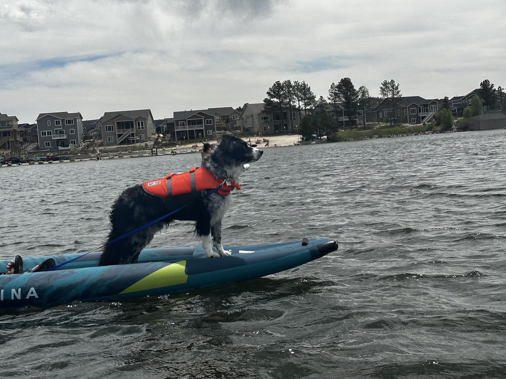 Aqua Marina Kayak (Steam) customer photo 1