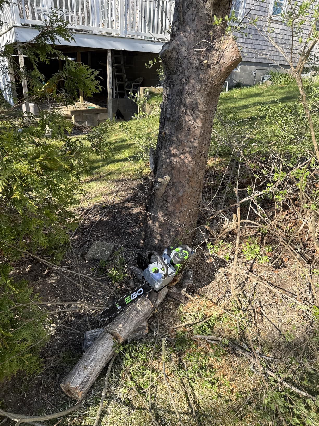 EGO POWER+ Chain Saw, 16” Battery Powered Chainsaw, Electric Cordless, Includes 56V 2.5Ah Battery and Charger – CS1611 customer photo 1