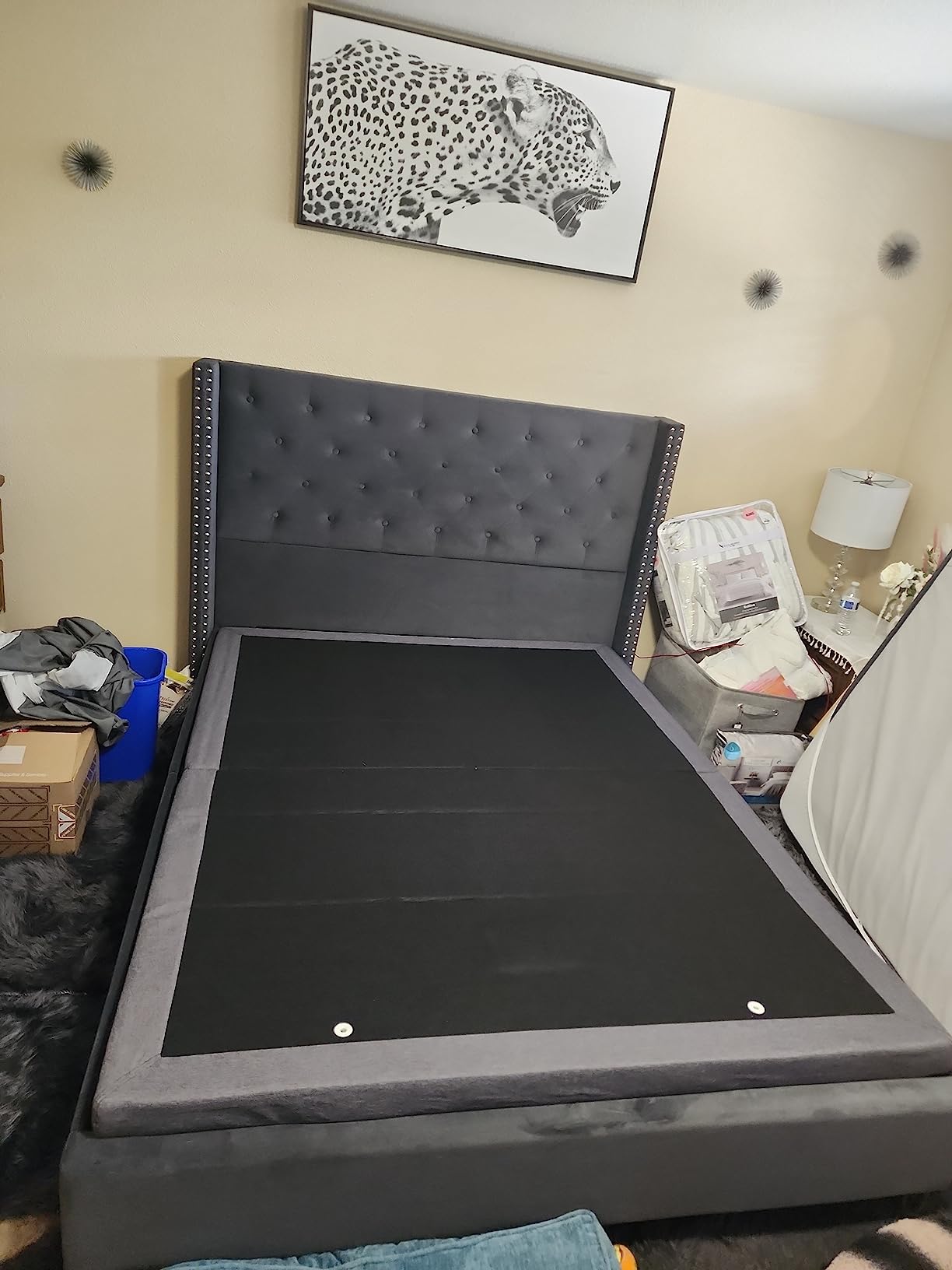 Naomi Home Idealbase Queen Adjustable Bed Base with Massage & USB | Queen Adjustable Bed With Massage, Usb Ports, Under-Bed Light, Wireless Remote, 800 Lbs Capacity & Easy Assembly customer photo 2