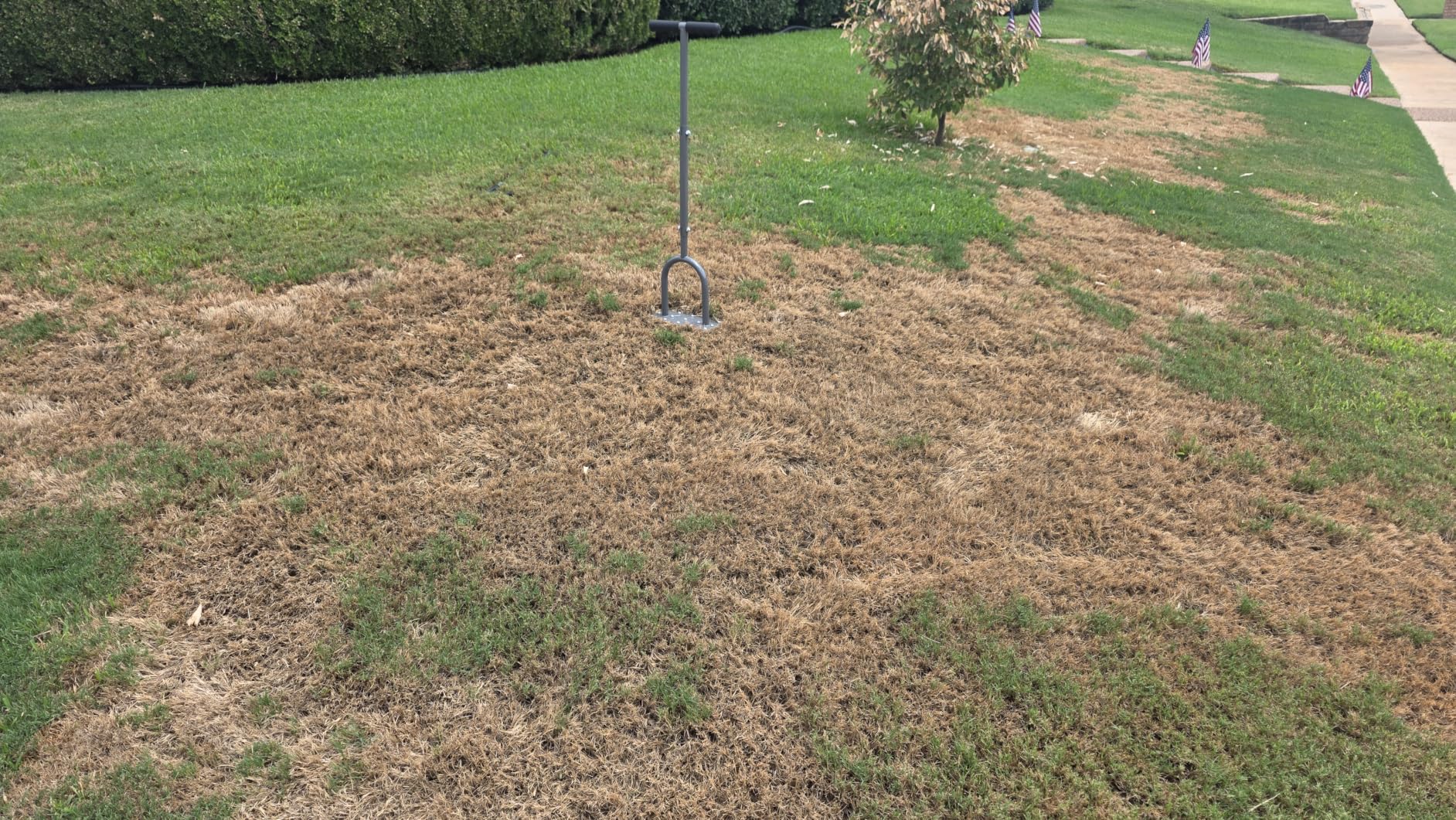 Walensee Manual Lawn Aerator Tool with 15 Iron Spikes, Garden Spike Aerator | Alternative to aerator shoes, patented grass aerator creates small holes for easier lawn aeration and healthier roots. customer photo 1
