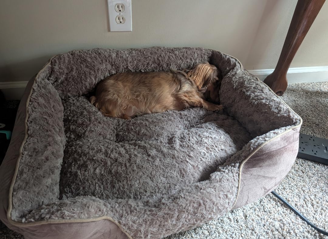 Dog Bed Medium Size Dog, Orthopedic Warming Soft Calming Sleeping Puppy Bed Durable Pet Bed with Anti-Slip Bottom customer photo 1