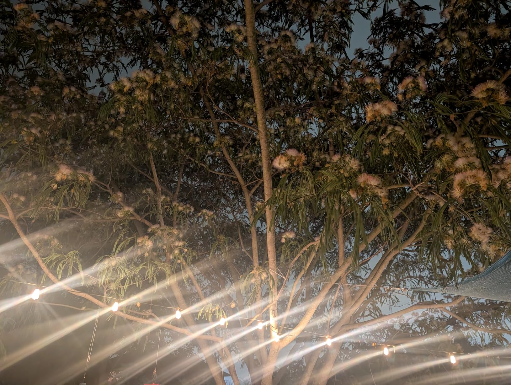 Brightever LED Outdoor String Lights 100FT Patio Lights with 52 Shatterproof ST38 Vintage Edison Bulbs, Outside Hanging Light Waterproof for Porch, Deck, Garden, Backyard, Balcony, 2700K Dimmable customer photo 1