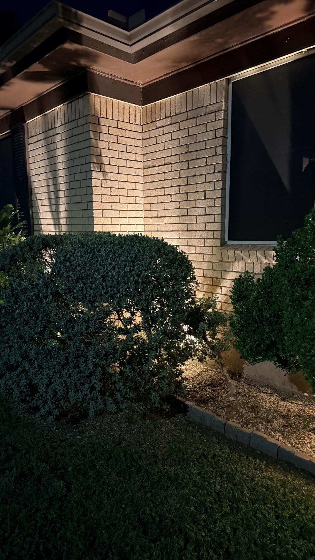 REEEGOLD Low Voltage Landscape Lights Outdoor: 7W 700LM LED Landscape Lighting with Connectors for Tree Garden Yard Pathway | 12V 24V Warm White 2700K Spotlights | IP65 Waterproof | 6 Pack customer photo 1