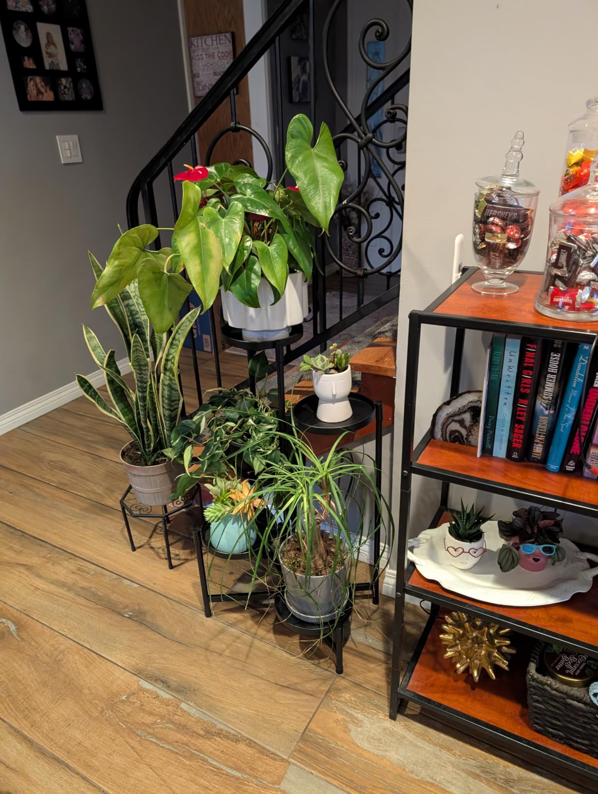 iDavosic.ly Plant Stand Indoor Outdoor, 5 Tier Corner Metal Flower Display Holder Shelf, Folding Tall Orchid Rack for Patio Balcony Porch Garden Living Room House, Black customer photo 2
