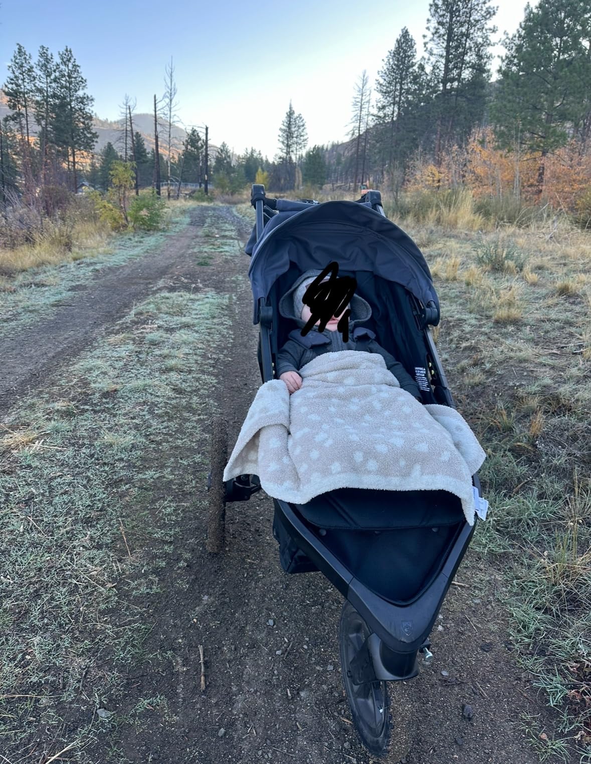 BOB Gear Wayfinder Jogging Stroller - Nightfall customer photo 1