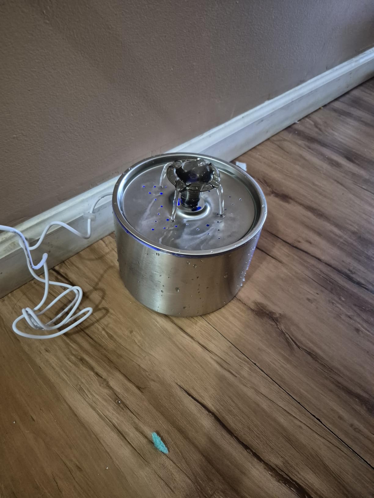 BOORCA Cat Water Fountain, 84oz/2.5L Stainless Steel Pet Water Fountain for Cats, Dogs and Multiple Pets, Automatic Dog Water Dispenser with Water Level Window, Ultra-Quiet Pump customer photo 1
