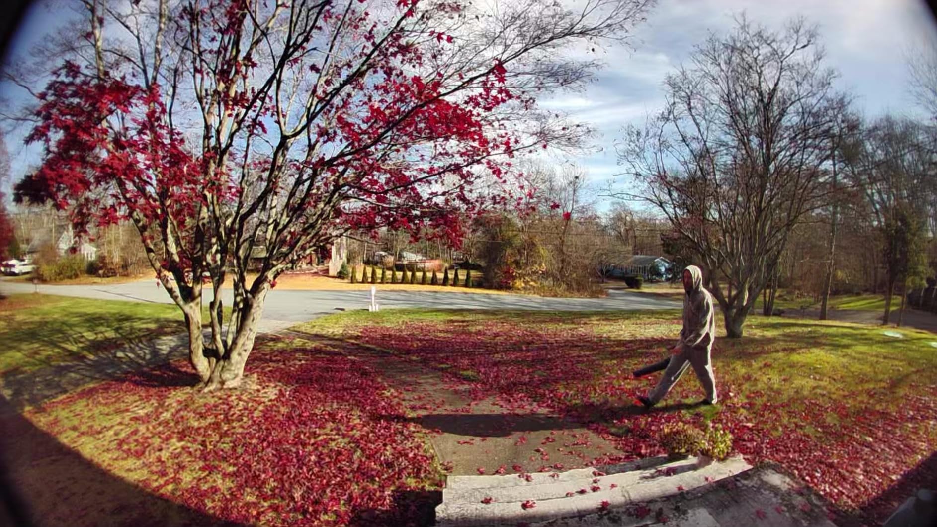 Toro Flex Force 60-Volt Max Brushless Cordless Leaf Blower with 2.0-Ah Battery and Charger customer photo 1