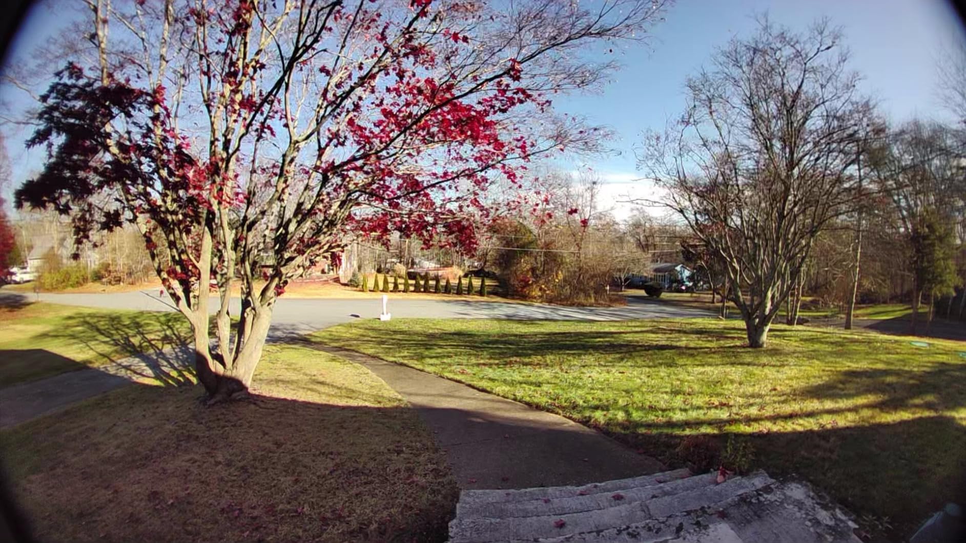 Toro Flex Force 60-Volt Max Brushless Cordless Leaf Blower with 2.0-Ah Battery and Charger customer photo 2