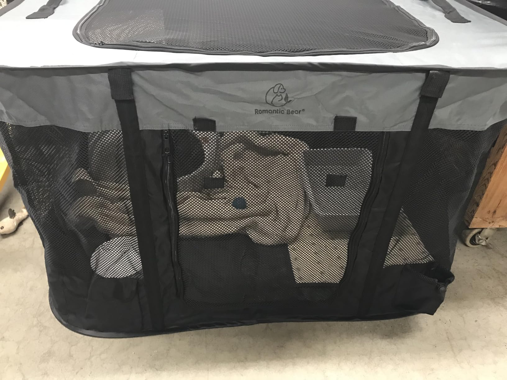 ROMANTIC BEAR Dog Playpen, Foldable Pet Puppy Cat Playpen, L(40