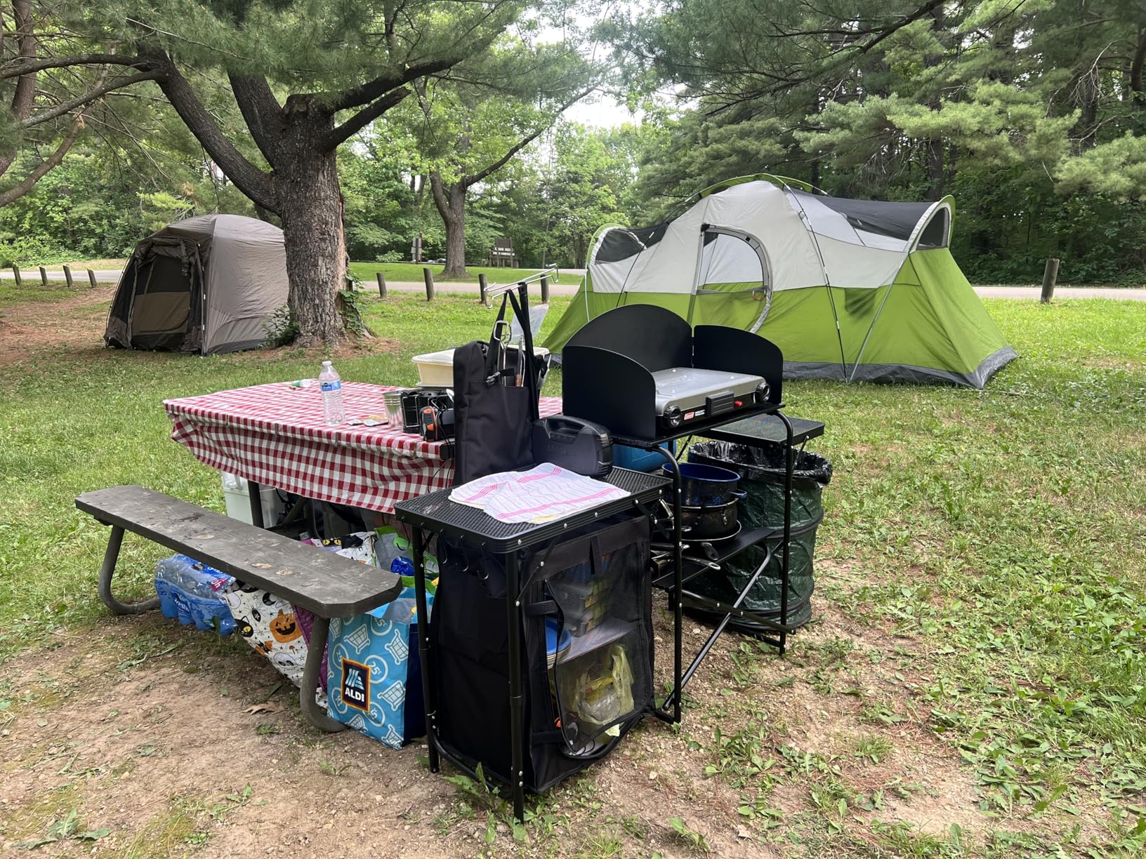 Nice C Camping Kitchen Station, Picnic Portable Grill Table, Folding Cook Station Organizers, with Upgrade Light Stand, Windshield, Carry Bag for Outdoor, Beach, Picnic (Black) customer photo 2