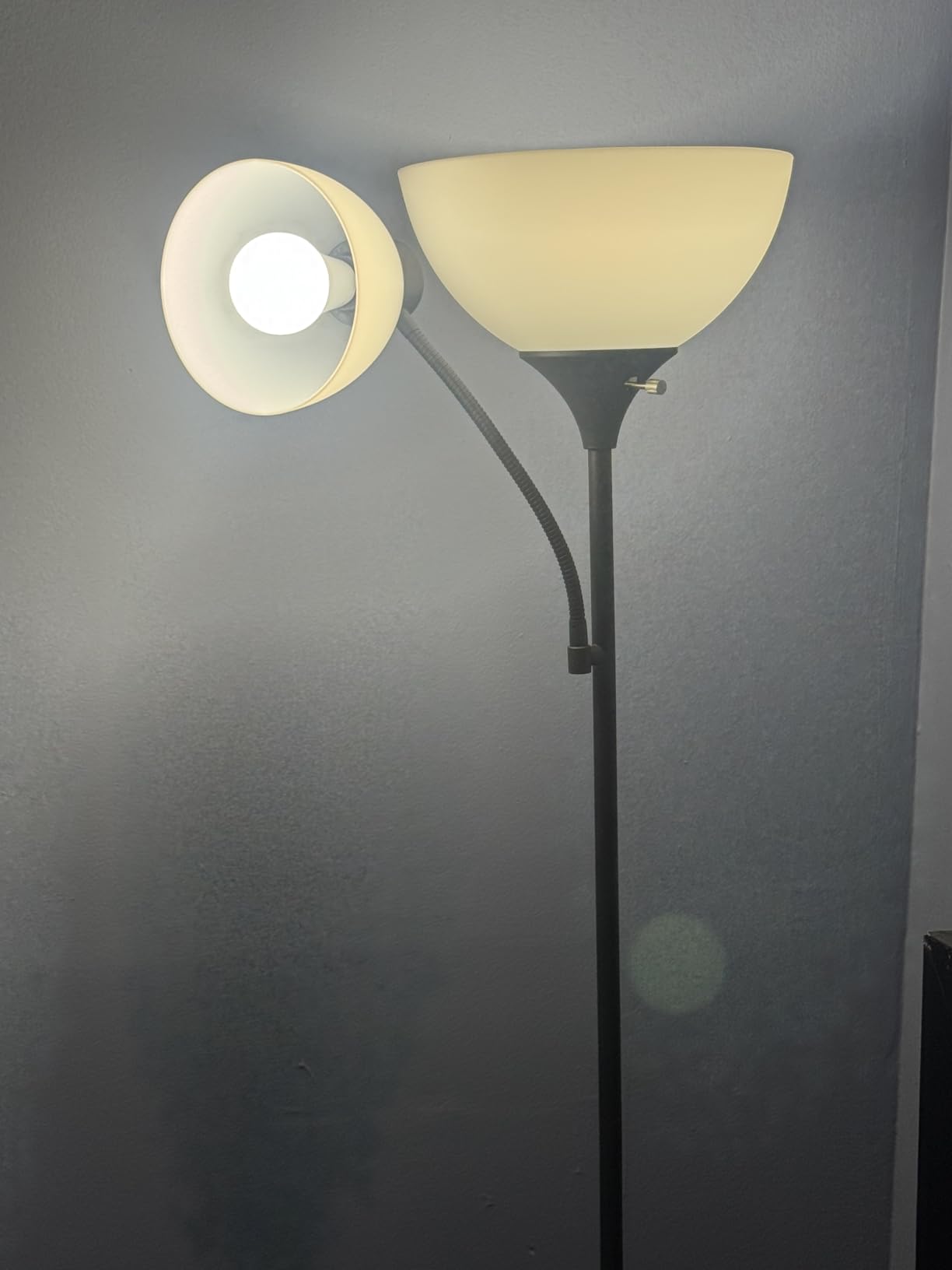 LED Floor Lamp, Super Bright 11W+7W 2100LM Torchiere Floor Lamps for Living Room, Stepless Adjustable 4 Color Temperatures 3000K-6000K with Remote Control for Bedroom (Matte Black) customer photo 2