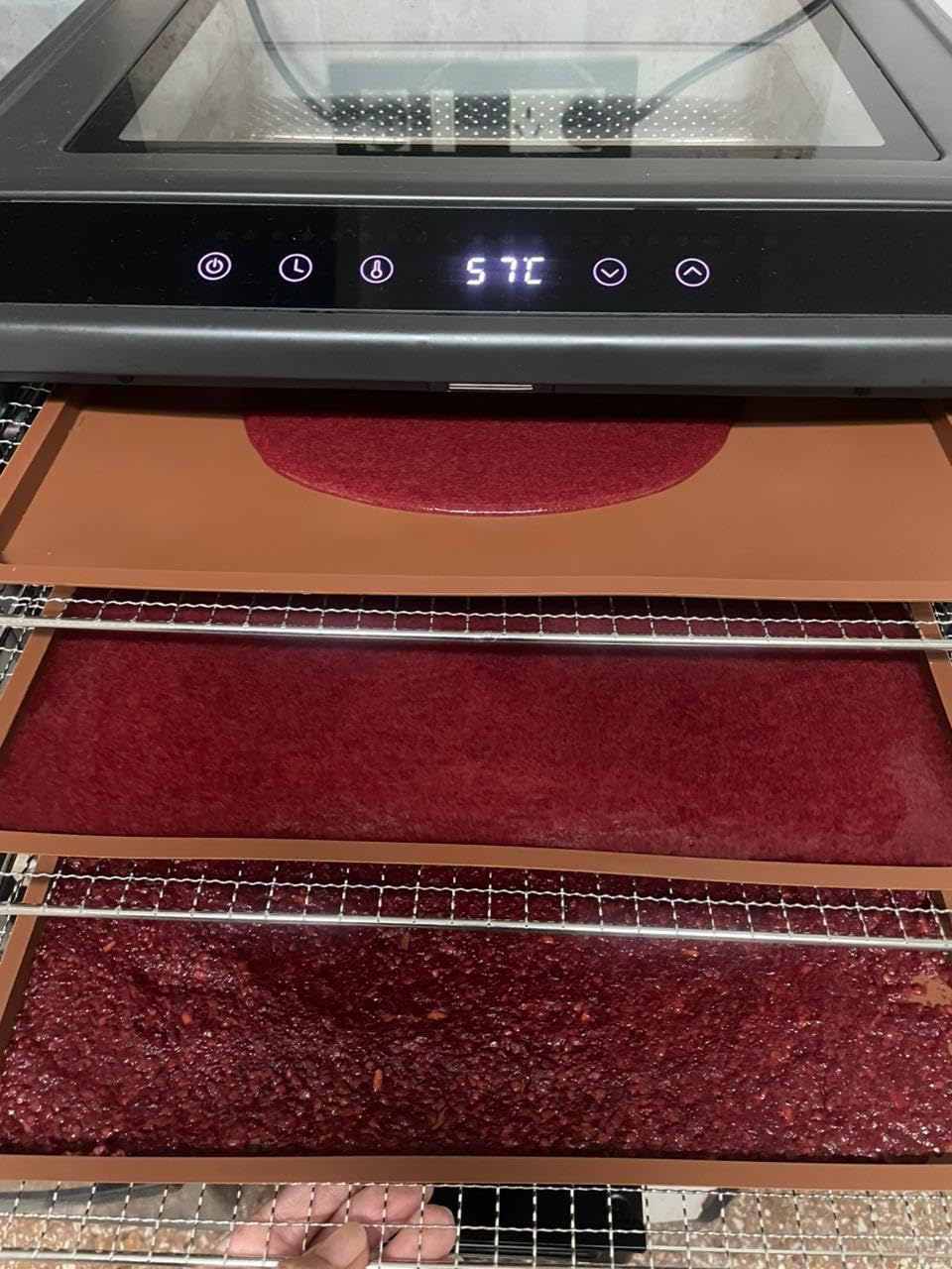 Electric Food Dehydrator Performance Series 6-Tray with Adjustable Temperature Control Includes Stainless Steel Drying Trays Glass Door Top View Window and LED Display Progress Bar, Black customer photo 1